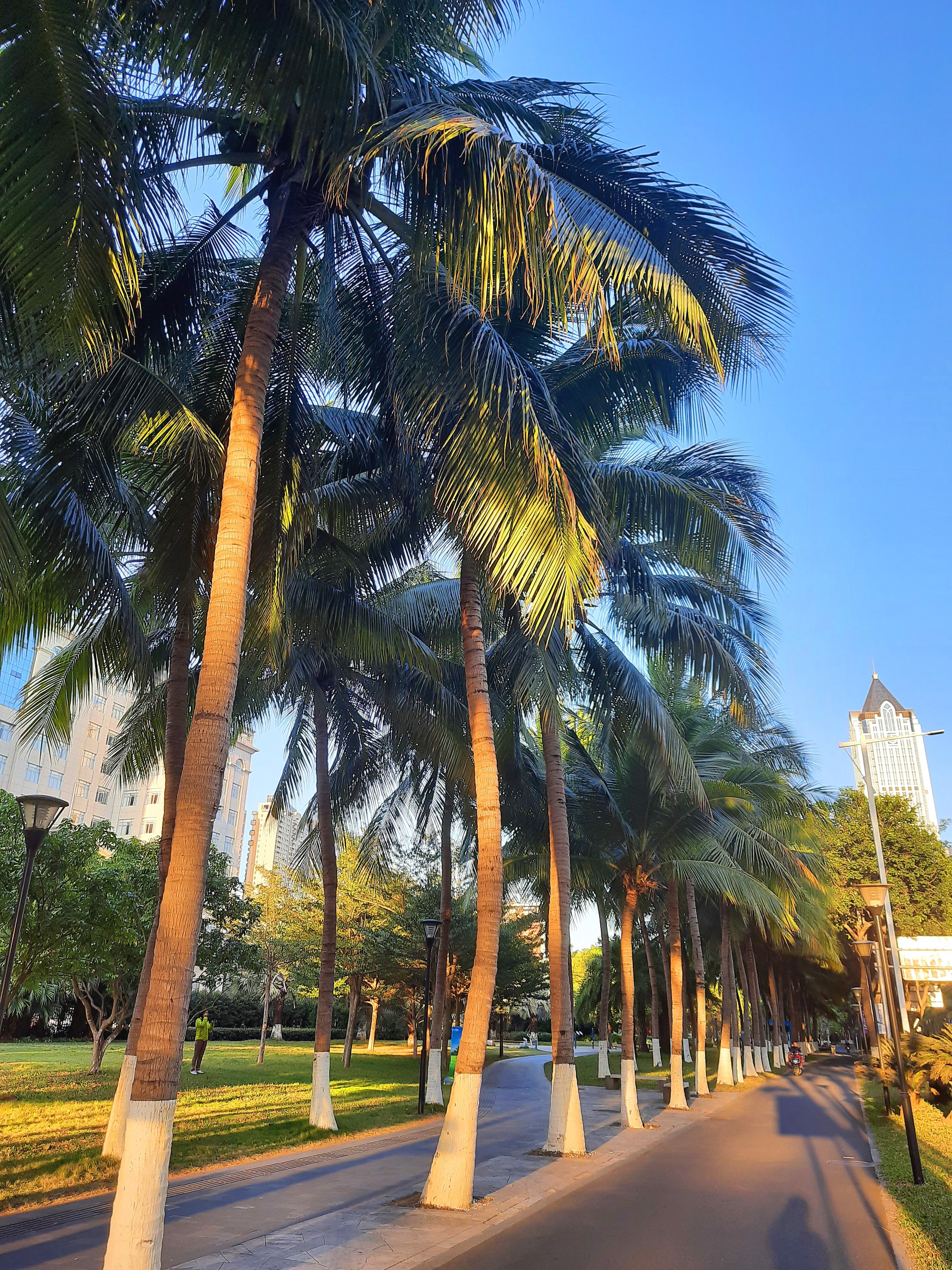 海南,嘉宾云集,观众热情洋溢